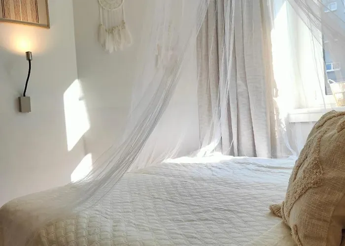 Cozy Small Apartment