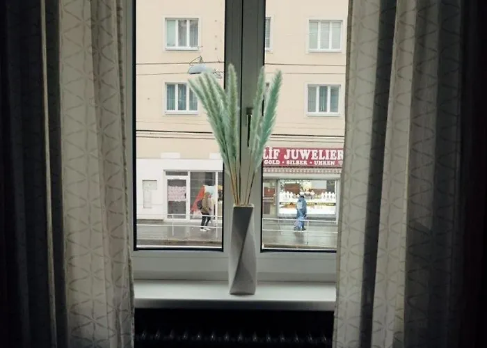 Cozy Small *